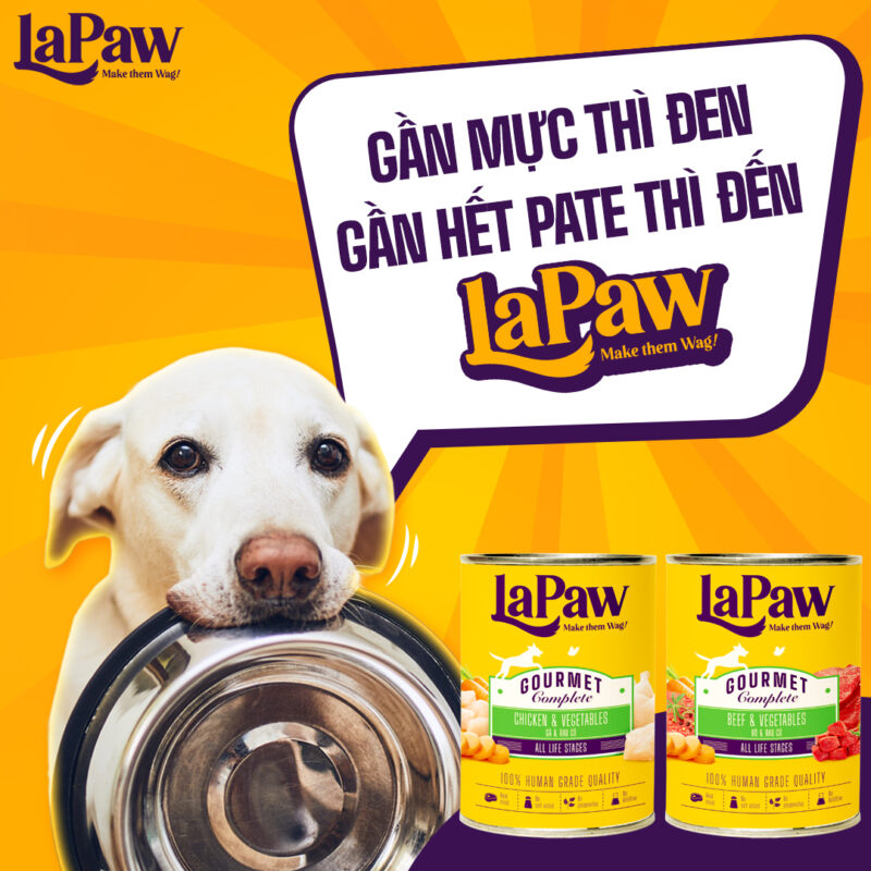 Lapaw