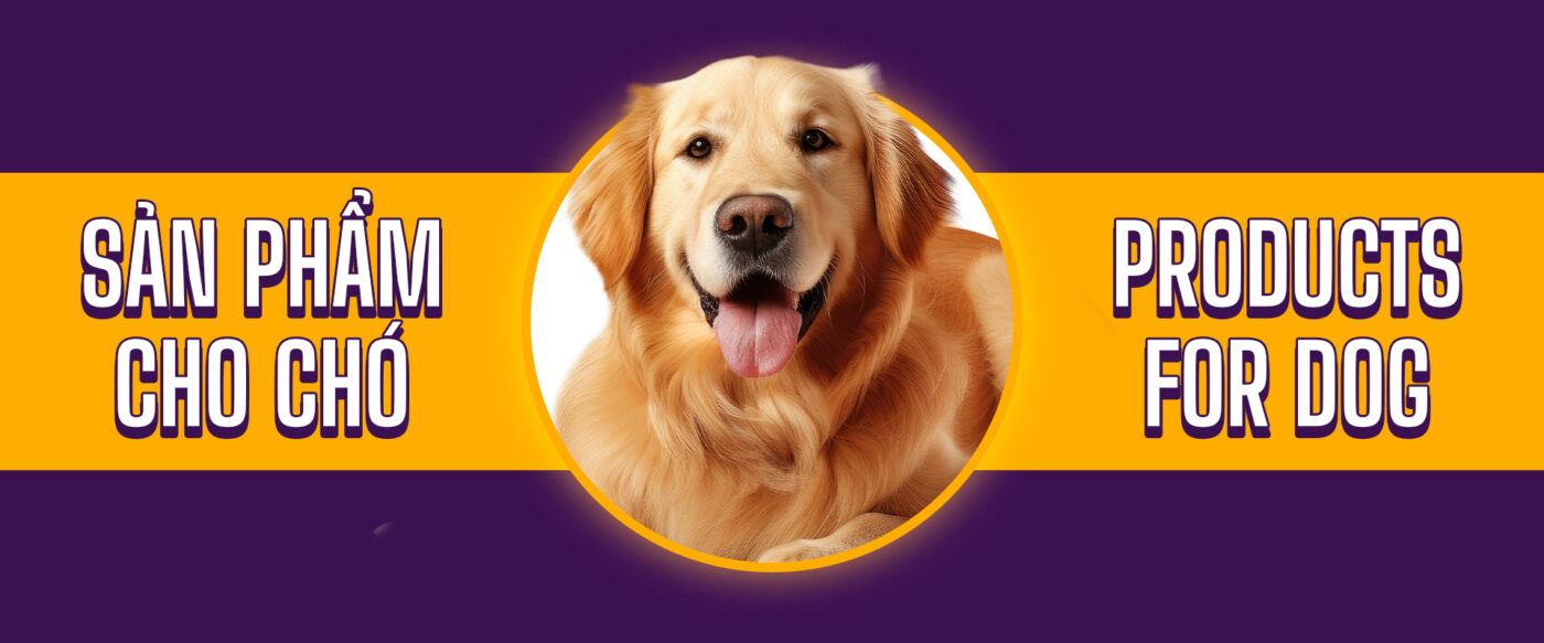 Hình ảnh banner chó nhỏ lapaw