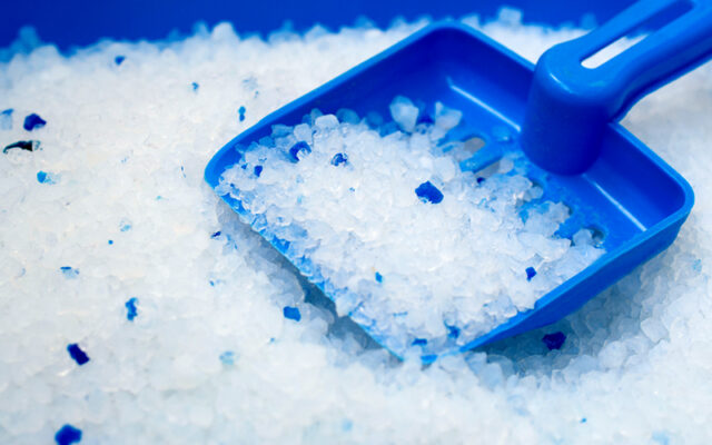 Cát vệ sinh thủy tinh cho mèo