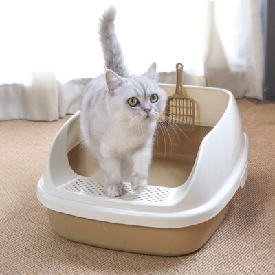 Khay vệ sinh cho mèo