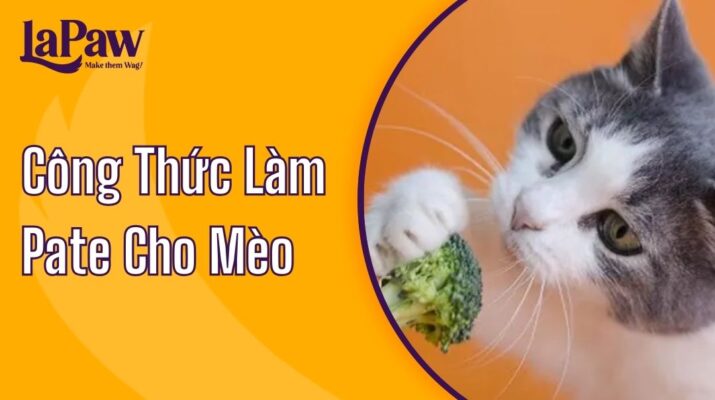 công thức làm pate cho mèo