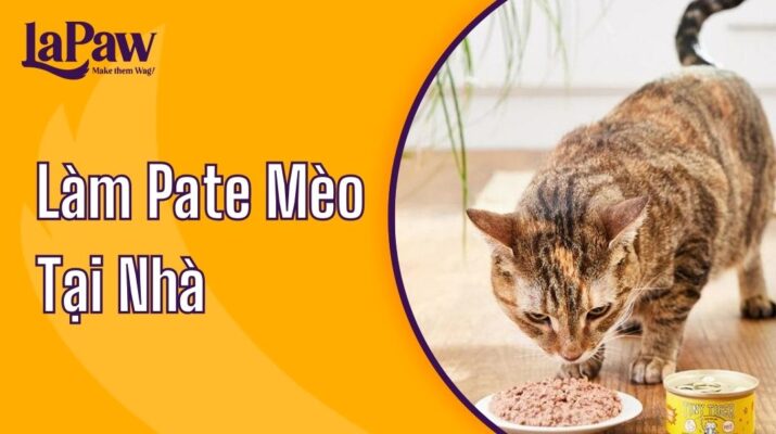 làm pate mèo tại nhà
