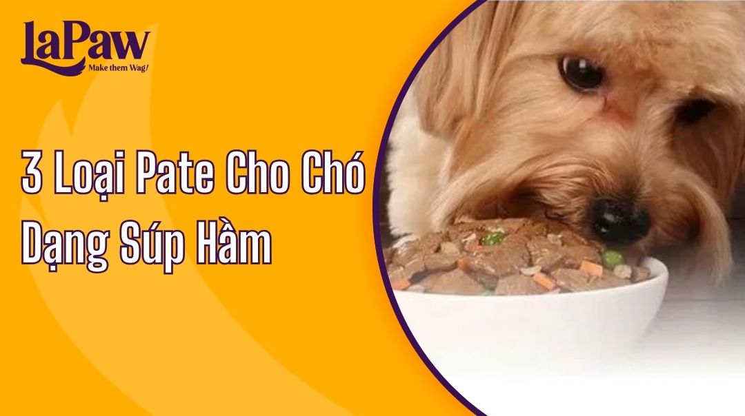 3 Loại Pate Cho Chó Dạng Súp Hầm