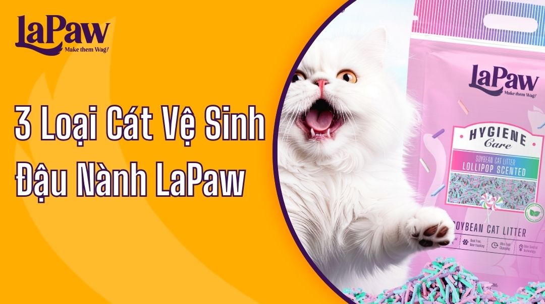 3 Loại cát vệ sinh lapaw