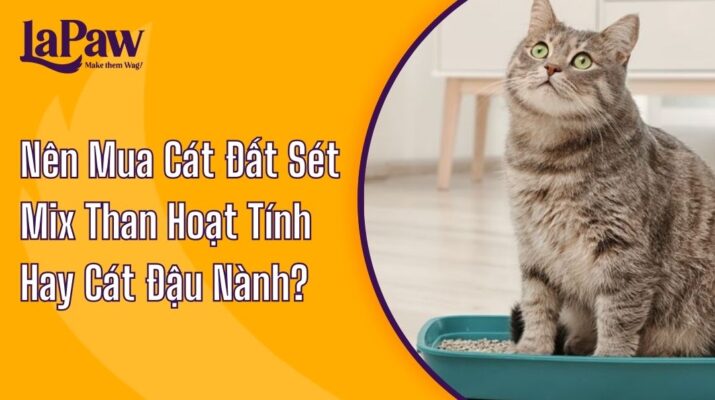 cát đát sét mix than hoạt tính