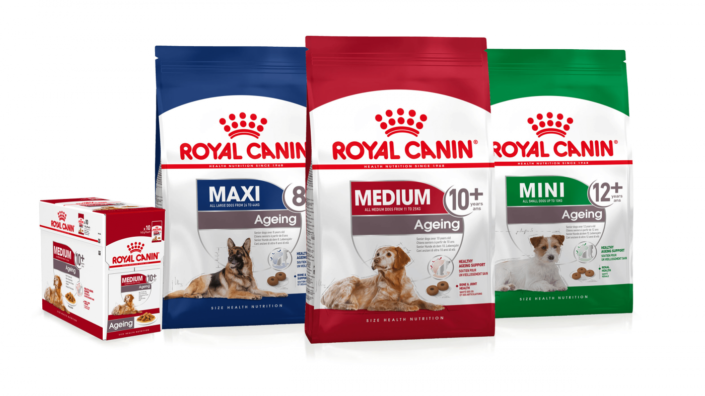 Pate Cho Chó Royal Canin