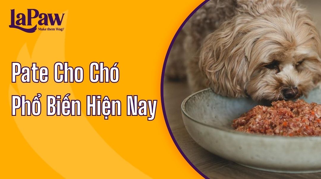 Pate cho chó