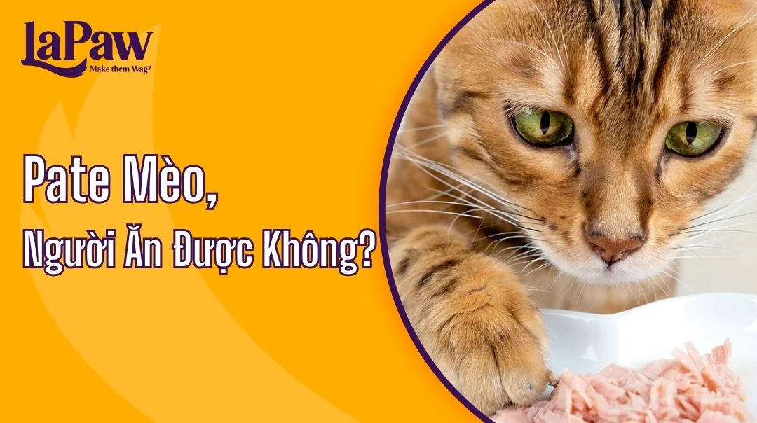 pate mèo người ăn được không
