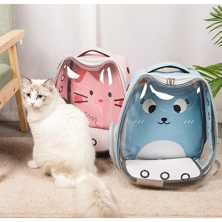 Balo Trong Suốt Chứa Mèo Khi Ra Ngoài