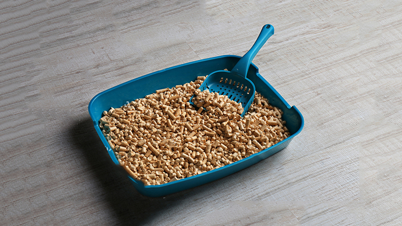 Cát vệ sinh từ hạt gỗ