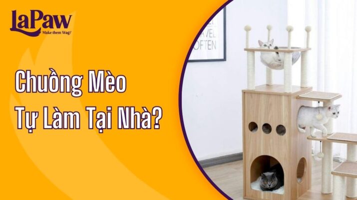 Chuồng Mèo Tự Làm Tại Nhà