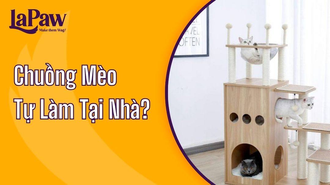 Chuồng Mèo Tự Làm Tại Nhà