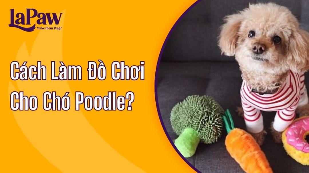 Đồ chơi cho chó Poodle