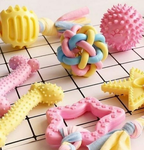 Đồ chơi cho chó Poodle