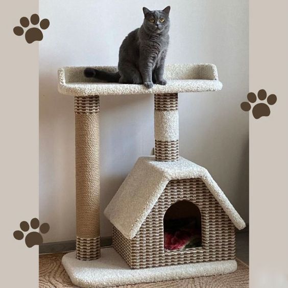 Tự Làm Chuồng Mèo Rất Nhiều Lợi Ích 