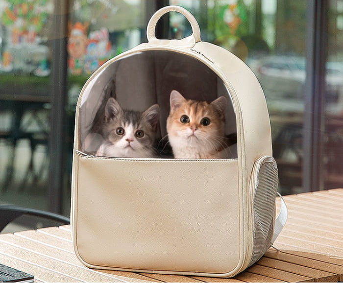 Balo Mèo Có Công Dụng Gì?