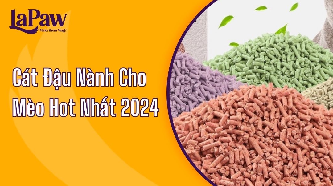 Xu Hướng Cát Đậu Nành Cho Mèo Hot Nhất 2024