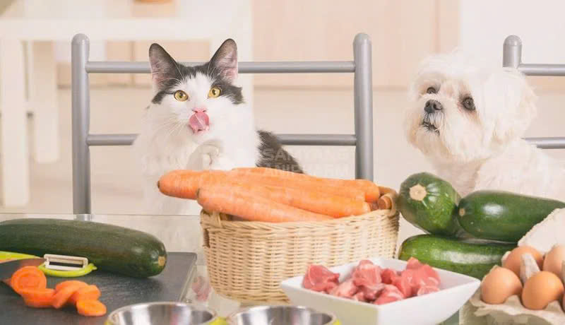 Cung Cấp Sắt Và Dinh Dưỡng Thiết Yếu