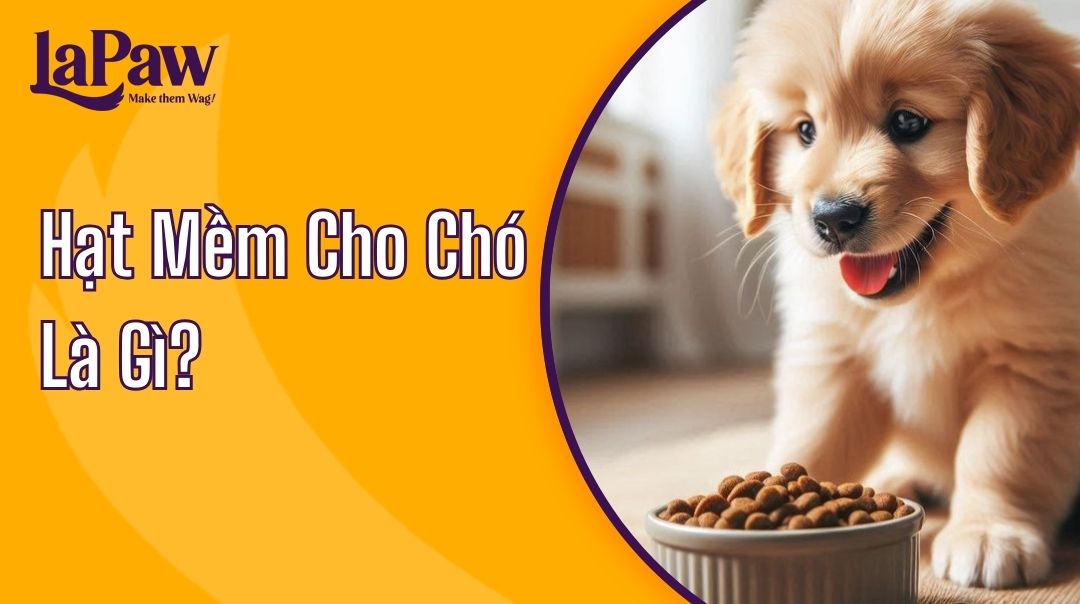 Hạt Mềm Cho Chó Là Gì?