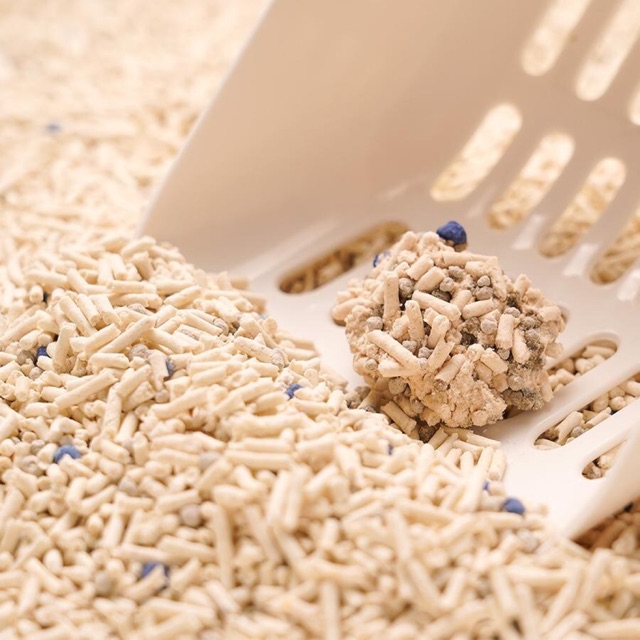 Khả Năng Khử Mùi Và Thấm Hút Tốt