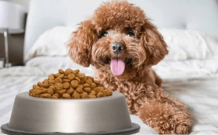 Thay Đổi Thức Ăn Thường Xuyên