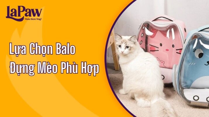 balo đựng mèo