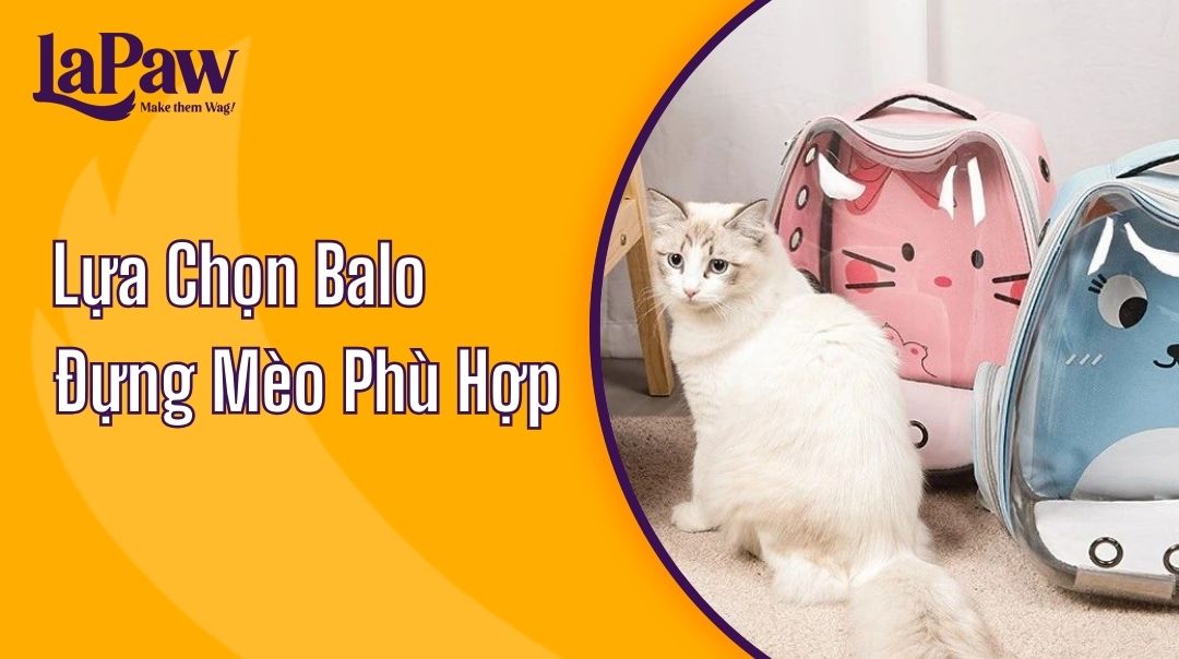 balo đựng mèo