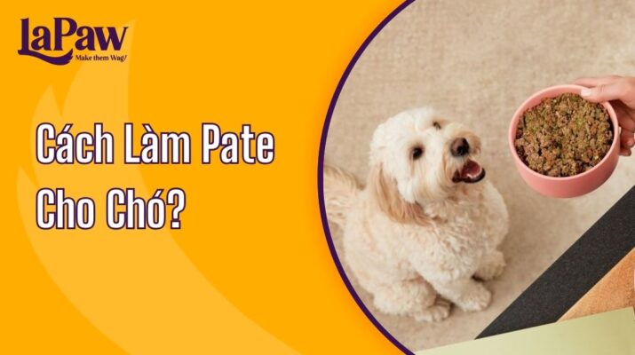 cách làm pate cho chó