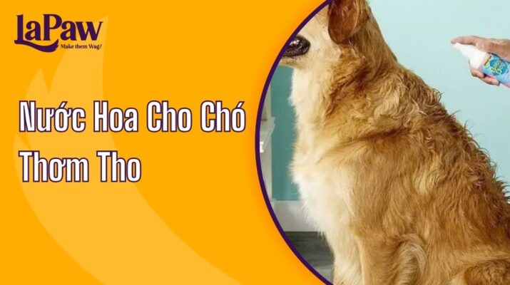 nước hoa cho chó