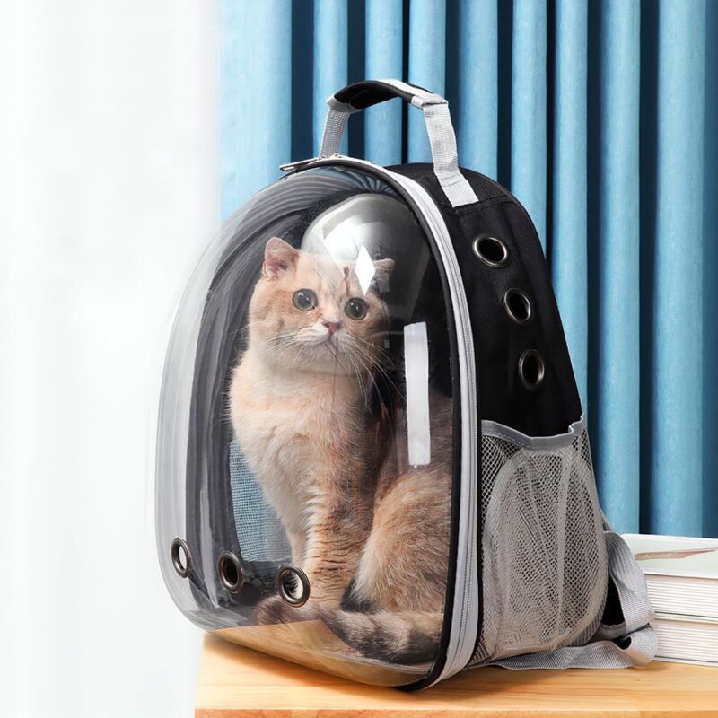 Các Bước Bảo Quản Balo Thú Cưng