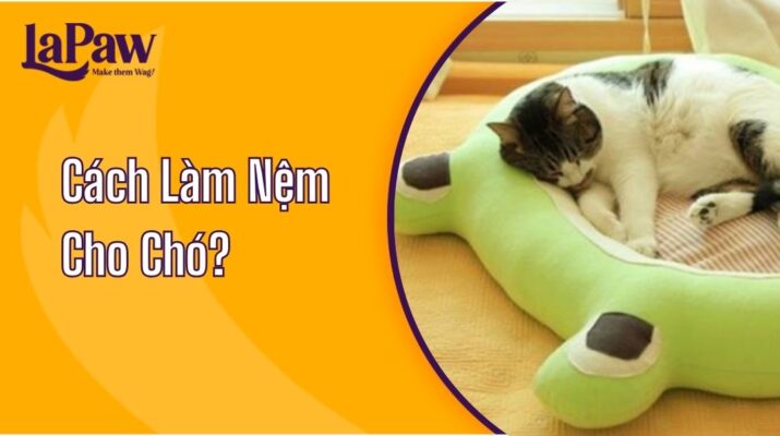 Cách Làm Nệm Cho Chó Đơn Giản Tại Nhà