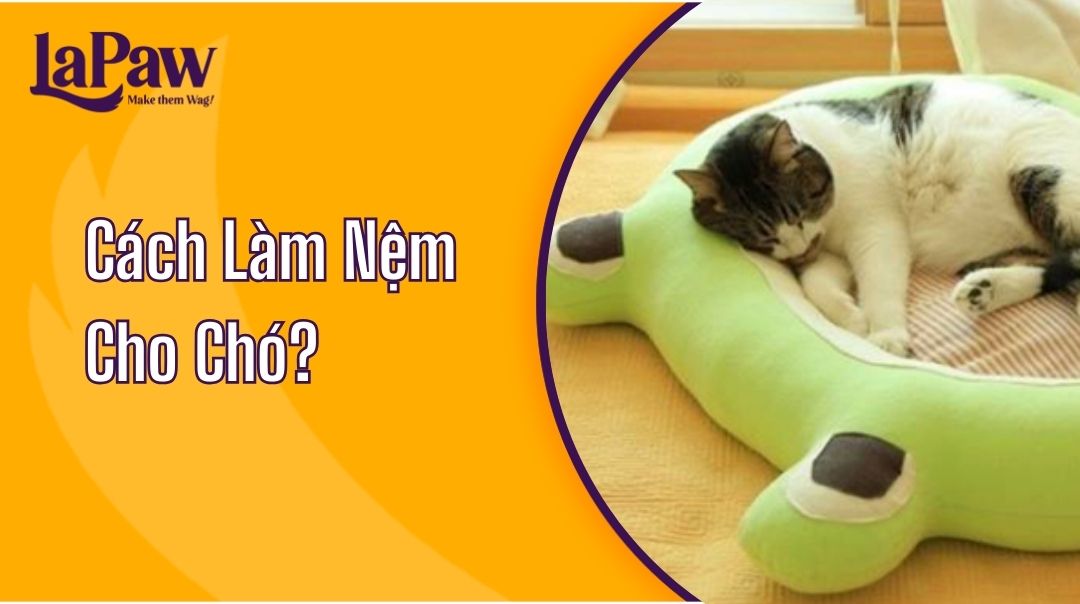 Cách Làm Nệm Cho Chó Đơn Giản Tại Nhà