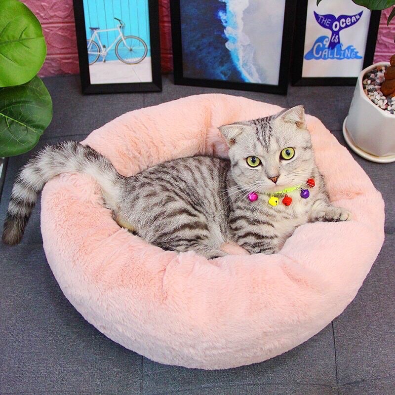 Nệm lông xù cho mèo