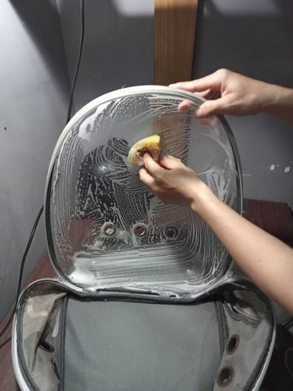 Tại Sao Cần Bảo Quản Và Vệ Sinh Balo Thú Cưng Định Kỳ?