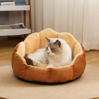 Tại sao cần nệm cho mèo?