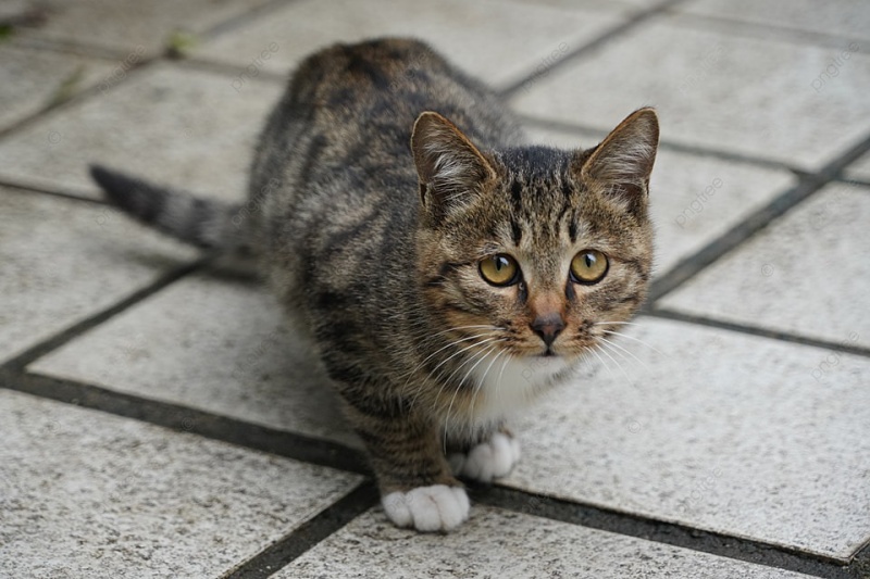 Tránh Tiếp Xúc Với Các Chất Độc Hại