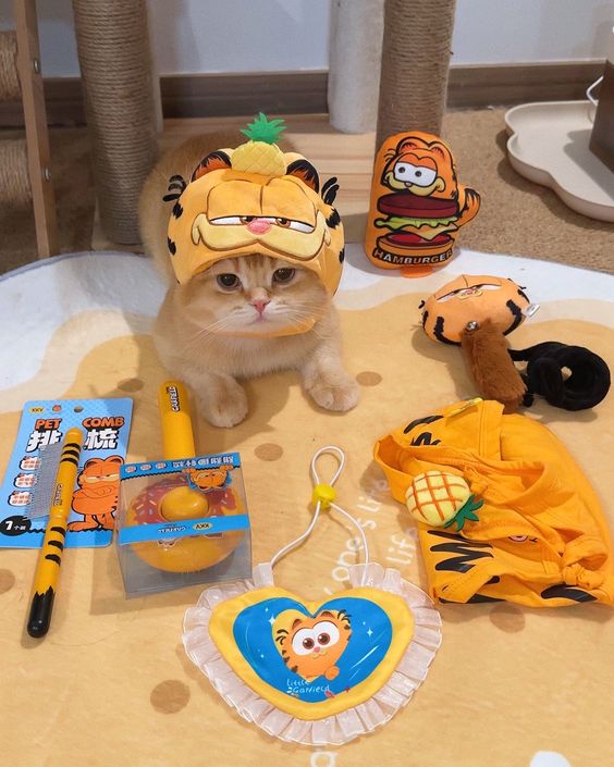 Cách Lựa Chọn Đồ Chơi Phù Hợp Cho Mèo