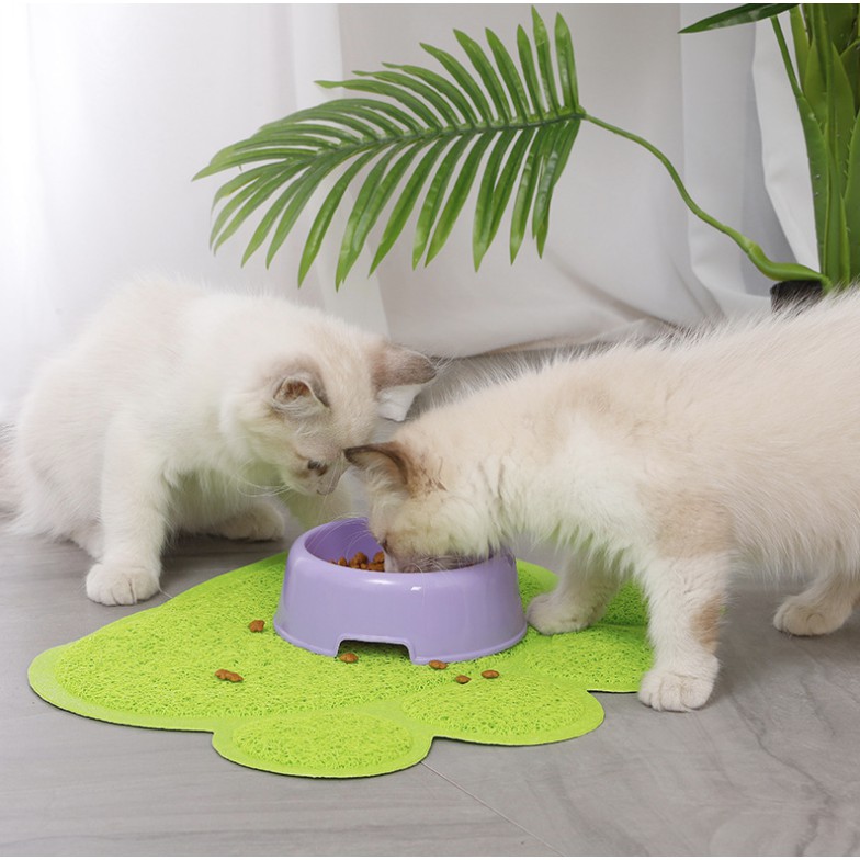 Cách chọn thảm lót cho mèo phù hợp