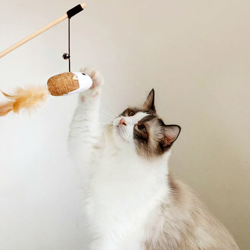 Đồ Chơi Dạng Cần Câu