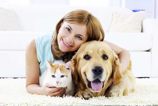 Lợi Ích Của Việc Nuôi Chó Mèo Cùng Nhau