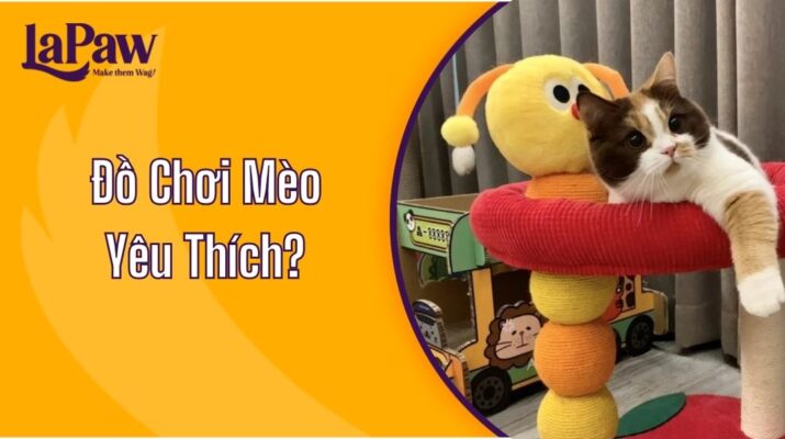 Đồ Chơi Mèo Yêu Thích?