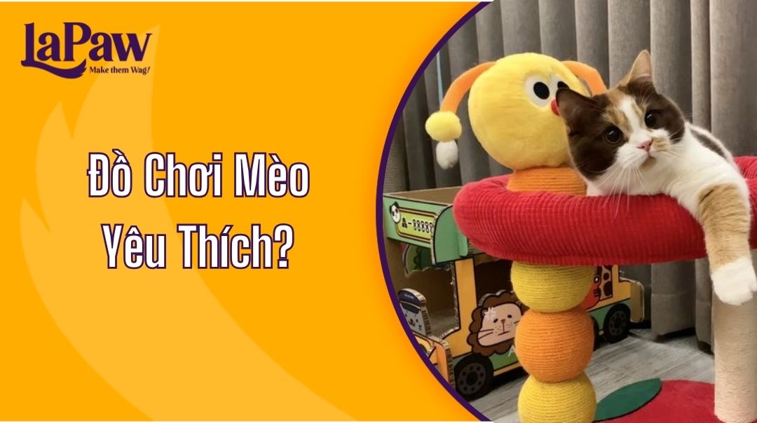 Đồ Chơi Mèo Yêu Thích?