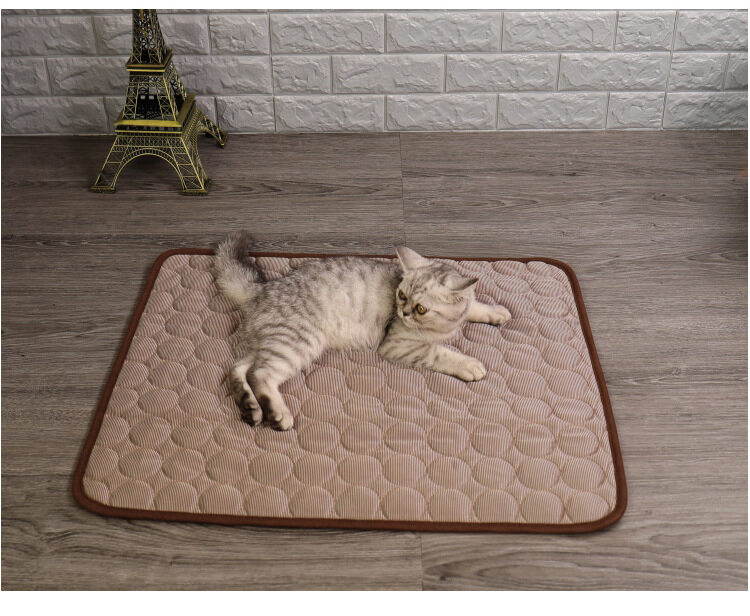 Thảm lót chơi và ngủ cho mèo