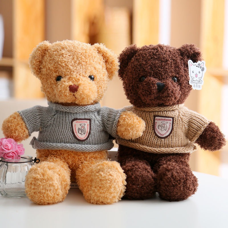 Kiểu lông Teddy Bear (Gấu Bông)