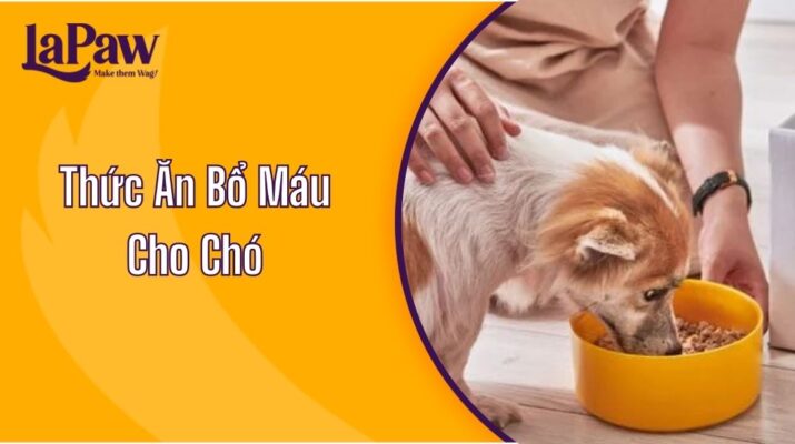 Thức Ăn Bổ Máu Cho Chó