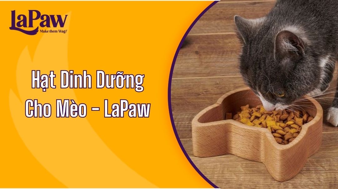 Hạt Dinh Dưỡng Cho Mèo Lapaw