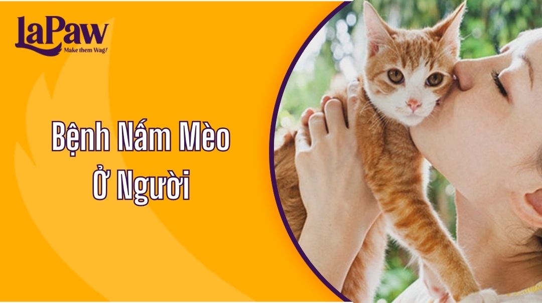 Bệnh Nấm Mèo Ở Người
