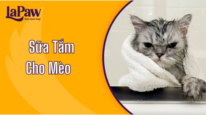 Sữa Tắm Cho Mèo