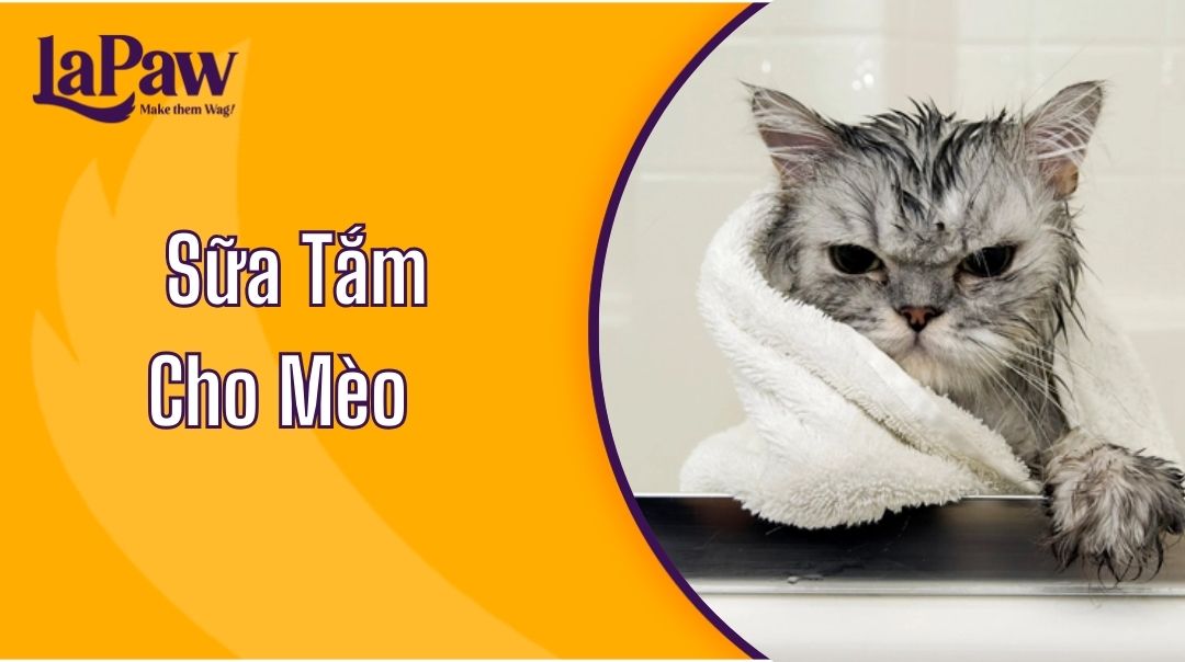 Sữa Tắm Cho Mèo