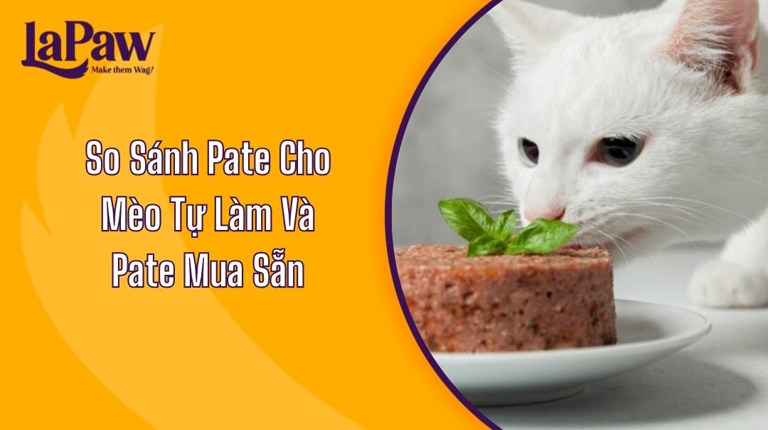 So Sánh Pate Cho Mèo Tự Làm Và Pate Mua Sẵn?